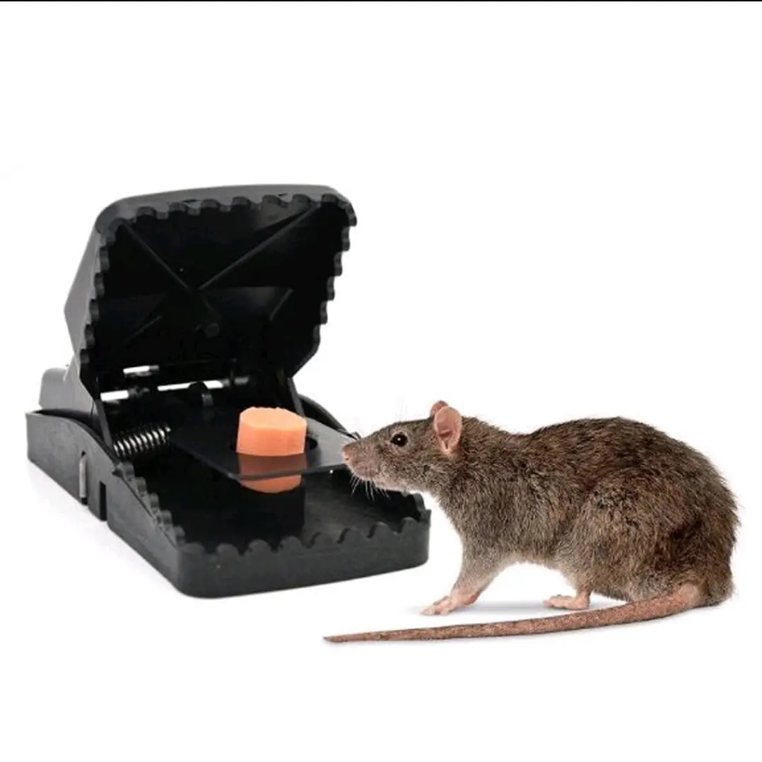 Super strong mouse trap double per perangkap tikus super jepitan tikus