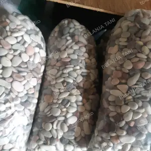 Batu Panca Warna Hias Pot Taman warna-warni 1kg