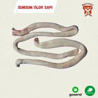 Gambar Sumsum Tulang Belakang Sapi/Olor sapi 500 kg dari asafir beef Kota Malang 1 Tokopedia