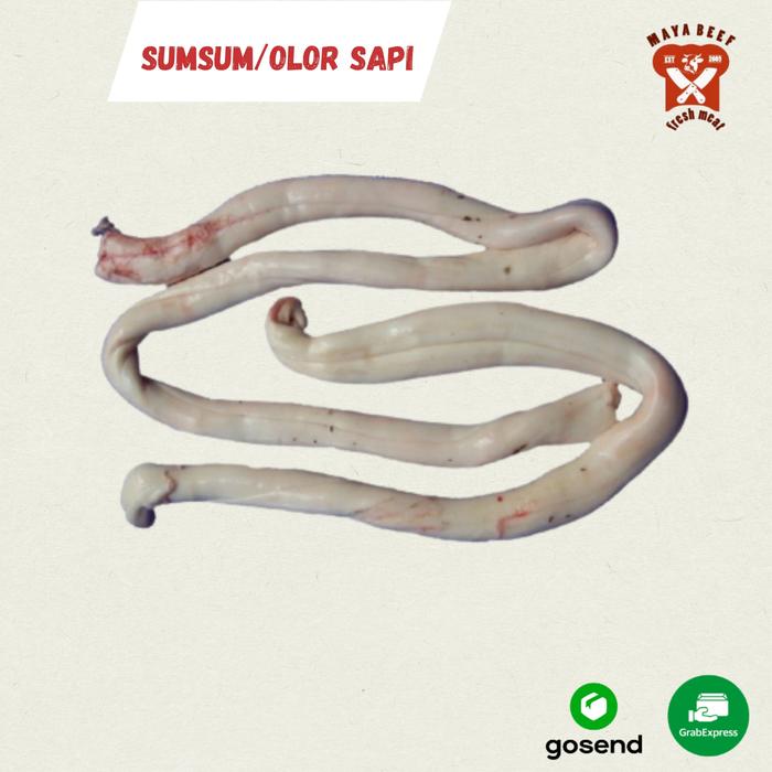 Gambar Sumsum Tulang Belakang Sapi/Olor sapi 500 kg dari asafir beef Kota Malang Tokopedia