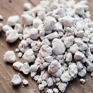 PERLITE MEDIA TANAM DAN TEMPAT BERTELUR REPTIL 250 Gram