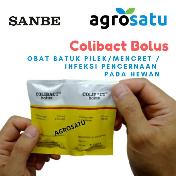 Obat Batuk Pilek Mencret Diare Sapi Kambing Domba Babi Colibact Bolus