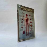 Gambar Poster Akrilik, Anatomi Tubuh Manusia, Poster Kesehatan, LAMINATING dari Sahabat Sejasa Kab. Sleman 5 Tokopedia