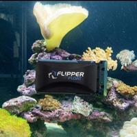 Gambar Flipper Cleaner Float 2in1 Floating Magnetic Aquarium Glass Cleaner dari Java Petco Jakarta Barat Kota Administrasi Jakarta Barat 3 Tokopedia