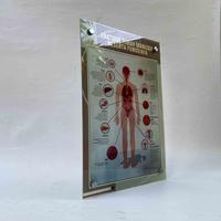 Gambar Poster Akrilik, Anatomi Tubuh Manusia, Poster Kesehatan, LAMINATING dari Sahabat Sejasa Kab. Sleman 3 Tokopedia