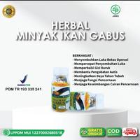 Gambar Kapsul Ikan Minyak Gabus Kutuk Oil BPOM Asli 100% Original 100 Kapsul dari TERAS HERBAL Solo Kab. Sukoharjo 1 Tokopedia