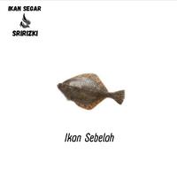 Gambar Ikan Sebelah Segar | Ikan Segar | 1 Kilogram dari IKAN SEGAR SRIRIZKI Kota Administrasi Jakarta Selatan 1 Tokopedia