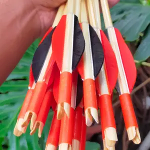 Arrow Pinewood Import - Arrow Premium Elite Archery