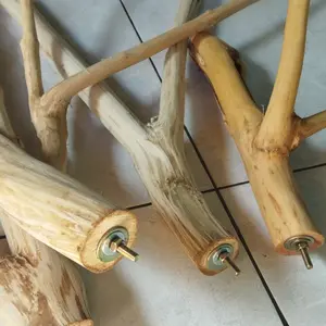 tangkringan burung bercabang+baut