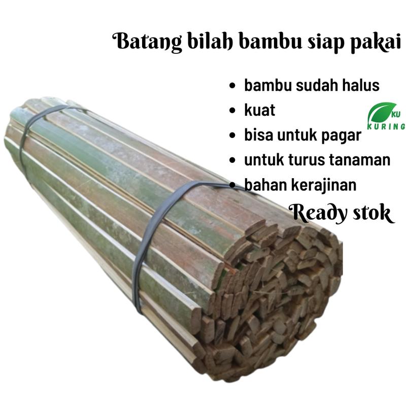 Terlaris batang bilah bambu/untuk tanaman pagar terlaris sudah raut 0
