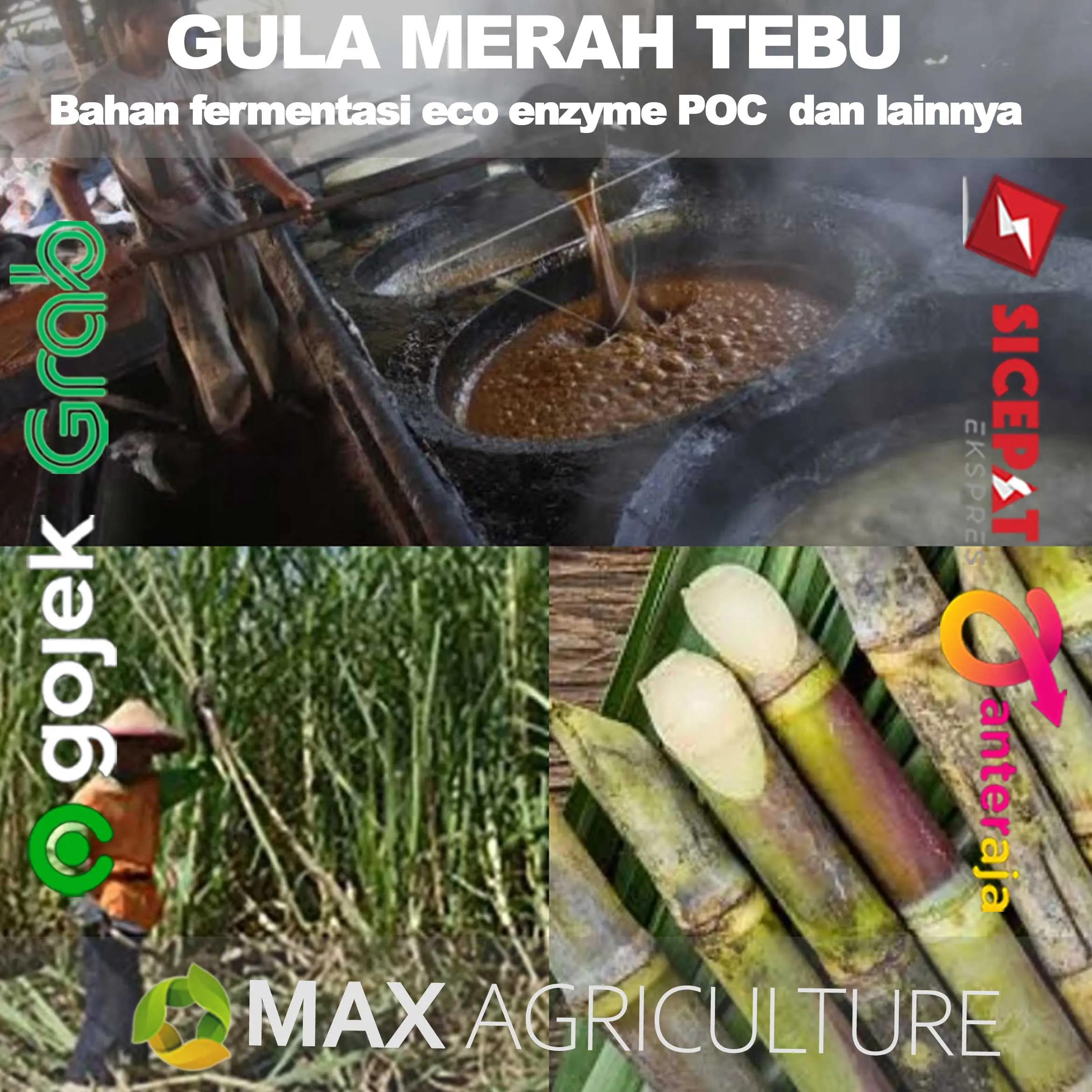 GMT Gula Merah Tebu Asli Outheng Gula Awur for eco enzyme dan lainnya