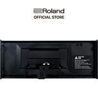 Gambar Roland DK-01 Boutique Dock Module - Casing dan Tilt Stand dari Roland Official Store Kota Tangerang Selatan 2 Tokopedia
