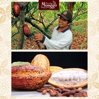 Gambar Chocolate Monggo | Raisin & Cashew Nuts & Dark Chocolate 100g | Coklat - Raisin & Cashew dari Chocolate Monggo Indonesia Kota Administrasi Jakarta Selatan 5 Tokopedia