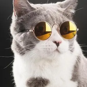 Kacamata anjing kucing Pet sunglasses Asesoris anjing kucing