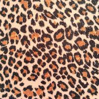 Gambar Kertas Glitter Kasar Paper A3 A4 - Motif Polkadot Animal Scrapbook - Leopard, A4 dari Cutteristic Kota Administrasi Jakarta Selatan 3 Tokopedia