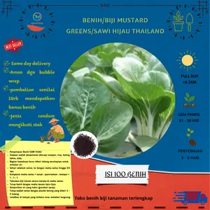 100 Biji Benih Sawi Caisim Benih Unggul Mudah Tumbuh