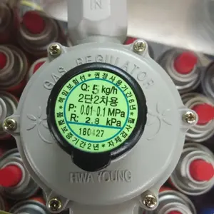 Regulator gas low Pressure 1/2" Q-5 kg/h