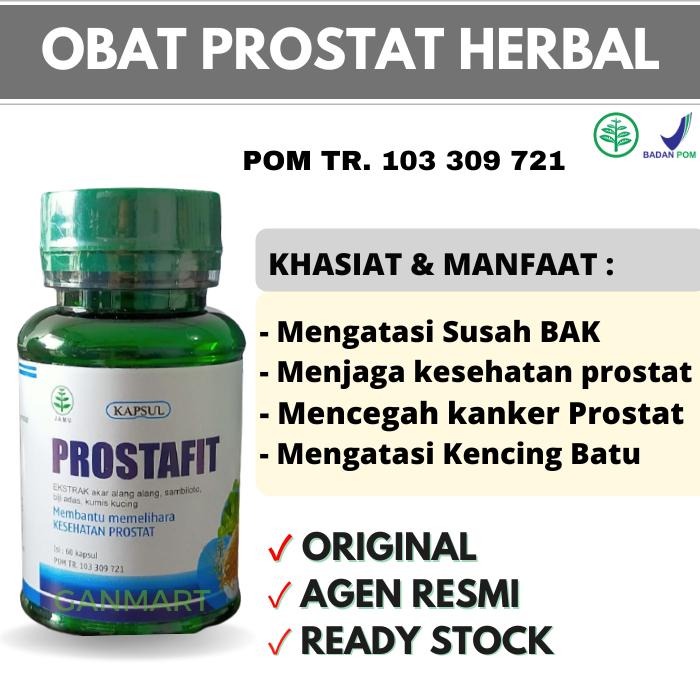 Obat Herbal Prostat Alami Pelancar Air Seni Kandung Kemih Nyeri Ampuh