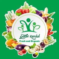 Gambar Udang Rebon - Sayur Kendal - 250gr dari Sayur Kendal Menteng Kota Administrasi Jakarta Pusat 2 Tokopedia