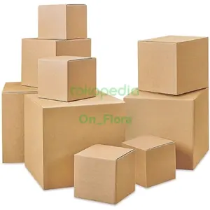 Packing Kemasan Tambahan Kardus Dus Gift Box Pengaman Paket Exclusive