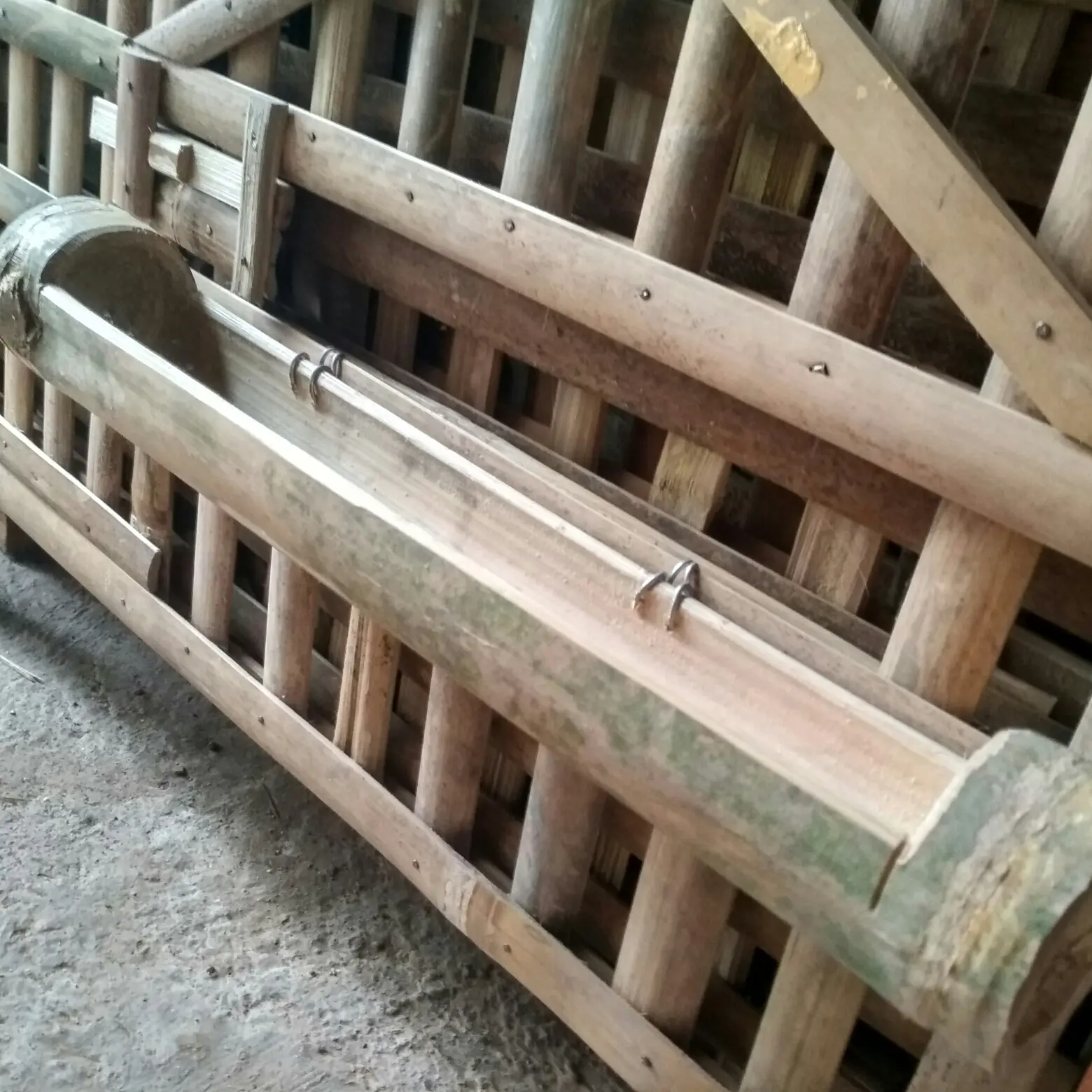 Bambu tempat makan ayam