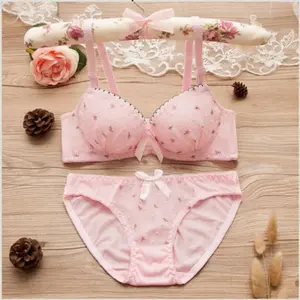 Sexy Lingerie Bra Set Murah Setelan Pakaian Dalam Wanita BS19 Pink