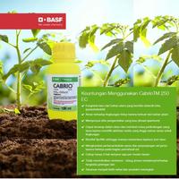 Gambar Fungisida Cabrio 250 EC - 100ml dari BASF Petani Sejahtera Kota Tangerang 4 Tokopedia