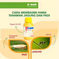 Gambar Insektisida Regent 50 SC Red - 100ml dari BASF Petani Sejahtera Kota Tangerang 2 Tokopedia