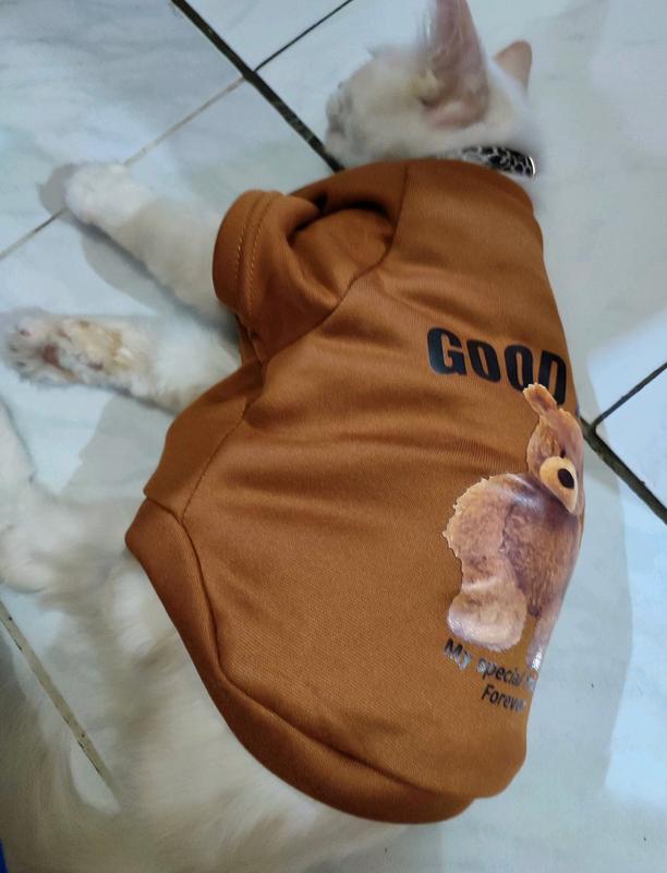 Baju TEDDY BEAR Anjing Kucing Pet Cloth Kostum Hewan 4