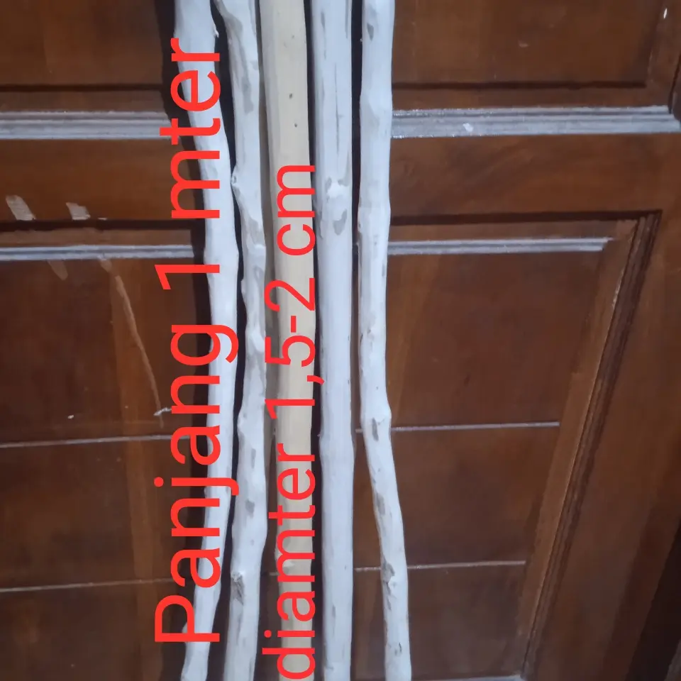Tangkringan kayu kopi untuk Lb, parkit, falk sc muray panjang 1 mter