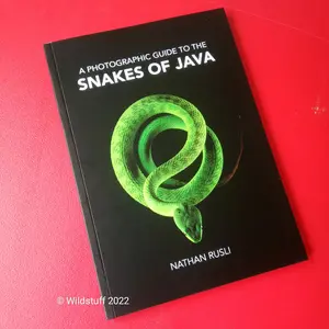 Buku Snakes of Java - "A Photographic Guide To The Snakes of Java"