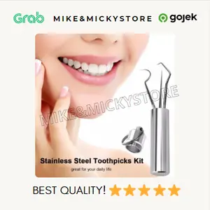 Set Tusuk Gigi Portable Reusable Bahan Stainless Steel Japan