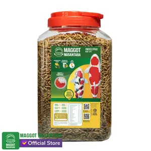 Maggot Nusantara Koi 500 Gr