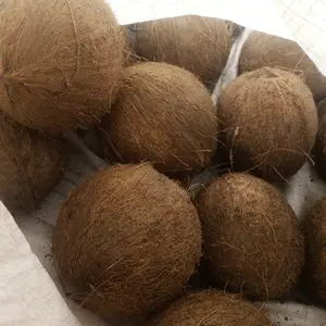 kelapa tua santan