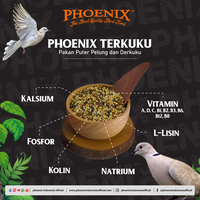 Gambar PHOENIX TERKUKU Pakan Terkuku Untuk Derkuku Puter Pelung Phoenix MILLET PUTIH MERAH dari Phoenix Petfood Indonesia Kab. Bogor 4 Tokopedia