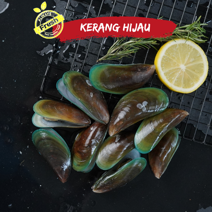 Jual Kerang Hijau Ijo Fresh 1 kg - 1 Kg - Jakarta Selatan - Portal Laut ...