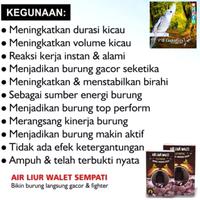 Gambar Vitamin Burung, Air Liur Walet Plus Gingseng Burung Gacor Seketika dari PW Cockatiels Kota Administrasi Jakarta Utara 2 Tokopedia