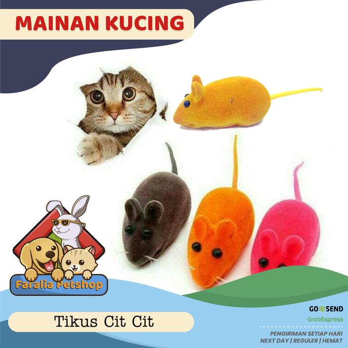 Gambar Mainan Bentuk Tikus Bunyi Untuk Kucing Anjing Hewan Pet Cat Dog Kitten dari Faralia PetShop Kota Administrasi Jakarta Timur Tokopedia