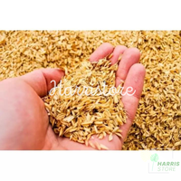 Gambar Media Tanam Sekam Padi Mentah Berat 1Kg dari Harristore.green Kota Malang 4 Tokopedia