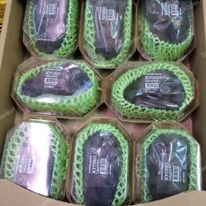 Anggur kyoho Korea original | buah anggur premium | pack | 450 grm