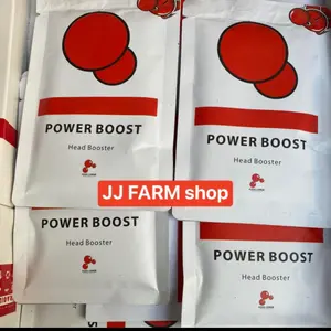 POWER BOOST HEAD BOOSTER 50gram serbuk jenong ajaib big head formula