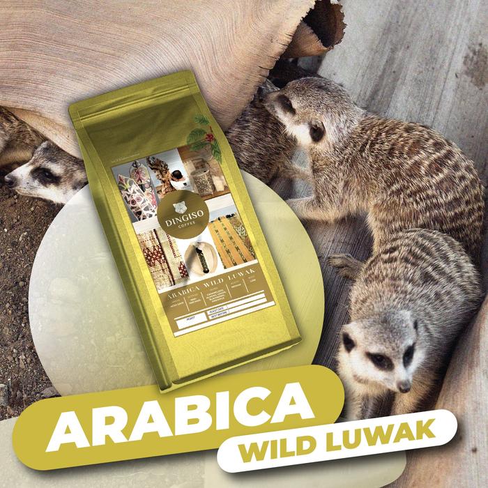 Gambar Kopi Arabica Wild Luwak (Gayo) Roasted Bean 250 gr Dingiso Coffee - Course Grind dari Dingiso Coffee Roastery Kota Administrasi Jakarta Utara Tokopedia