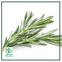 Gambar Daun Rosemary - Sayur Kendal - 50gr dari Sayur Kendal Menteng Kota Administrasi Jakarta Pusat 3 Tokopedia