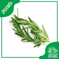 Gambar Daun Rosemary - Sayur Kendal - 50gr dari Sayur Kendal Menteng Kota Administrasi Jakarta Pusat 1 Tokopedia