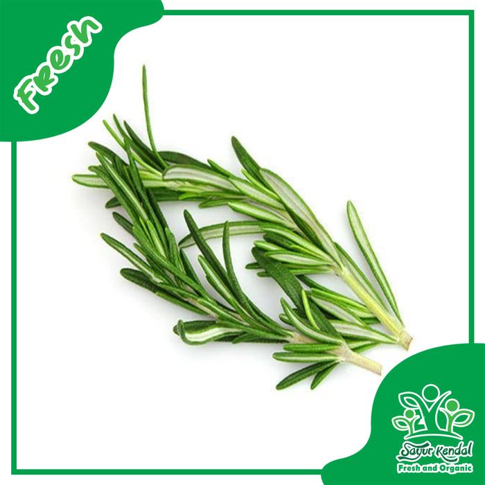 Gambar Daun Rosemary - Sayur Kendal - 50gr dari Sayur Kendal Menteng Kota Administrasi Jakarta Pusat Tokopedia