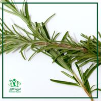 Gambar Daun Rosemary - Sayur Kendal - 50gr dari Sayur Kendal Menteng Kota Administrasi Jakarta Pusat 2 Tokopedia