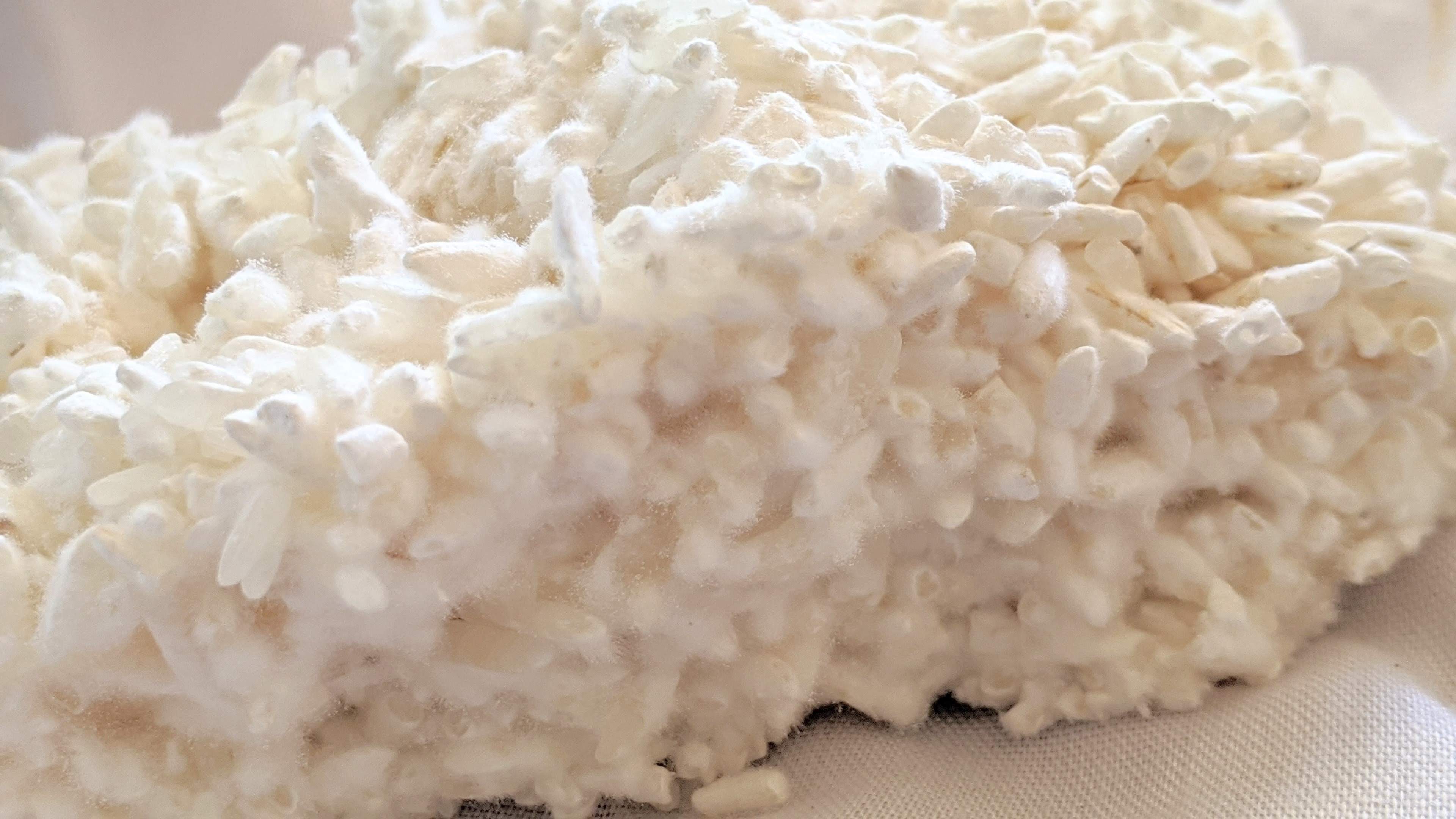 Organic Beras Koji (kome koji) 500 gram