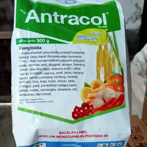 antracol 500 gram