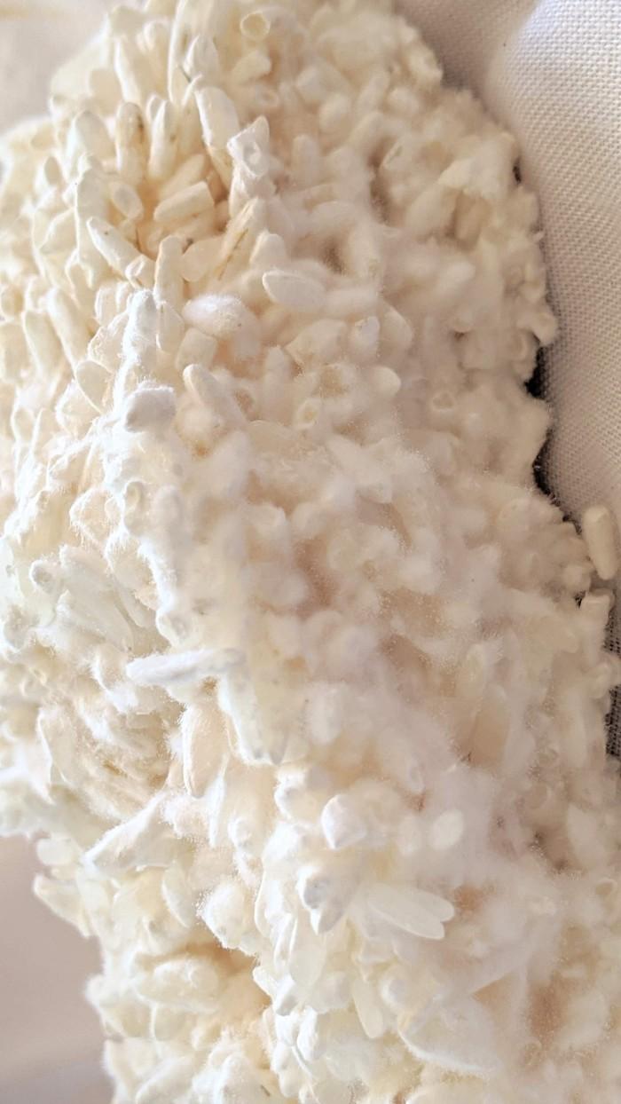 Organic Beras Koji (kome koji) 1 Kg