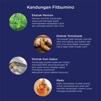 Gambar Fitbumin Vemuno Penambah Nutrisi Anak Madu Ikan Gabus dari Fitbumin For Life Kota Surabaya 5 Tokopedia